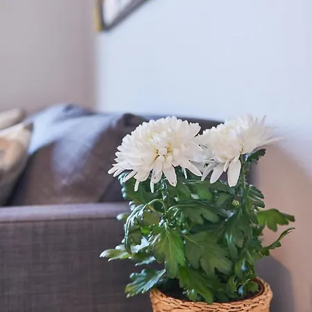 Center Sea View I Ericeira