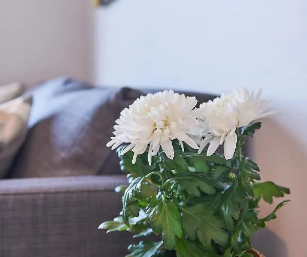 Center Sea View I Ericeira